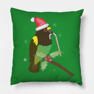 A cute Christmas Meyer's parrot Pillow