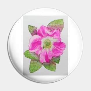 Pink wild rose watercolour painting Pin