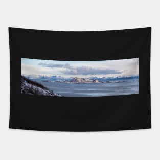 The Epic Coastline of Lofoten Tapestry