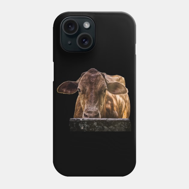 cool cow Phone Case by rickylabellevie