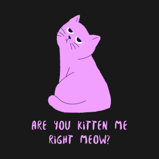 Are You Kitten Me Right Meow, Cute Cat T-Shirt