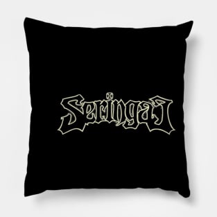 Band Pillow