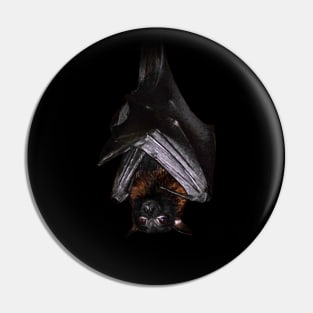 Lyle's flying fox Pin