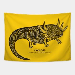 Axolotl with Common and Scientific Names - cool detailed animal design Tapestry