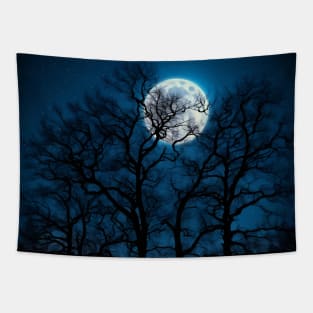 Glowing Moon, Bare Winter Trees, Star-filled Sky Tapestry