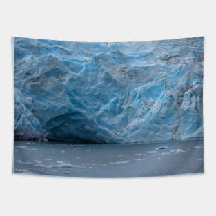 USA. Alaska. Glacier. Tapestry