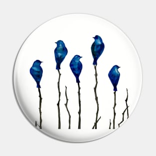 Birds of a feather Pin
