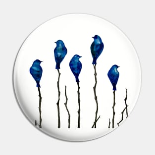 Birds of a feather Pin