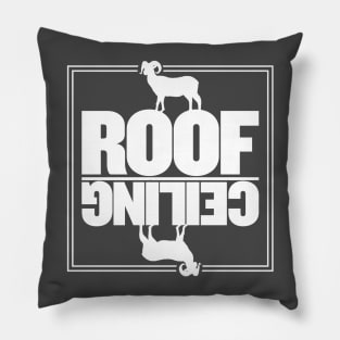 Ceiling Roof Pillow