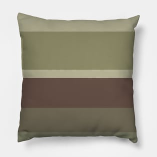 An unparagoned impression of Purplish Brown, Grey Brown, Camouflage Green, Putty and Brown Grey stripes. Pillow