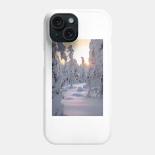 Arctic Winter Phone Case