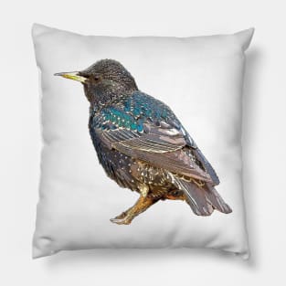 Starling Pillow