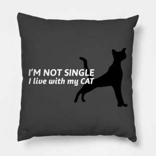 I'm NOT single - I live with my cat Pillow