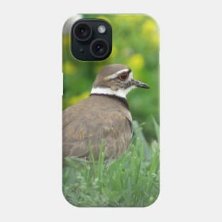 Killdeer Bird in a Field of Flowers Phone Case