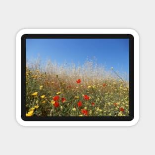 Cyprus Flowers Magnet