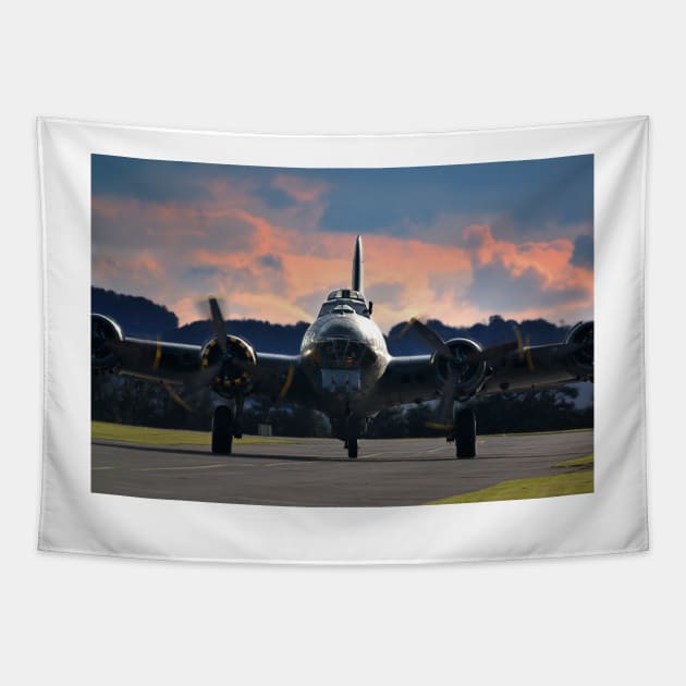 Sally B Tapestry by Nigdaw