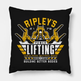 Building Better Bodies Pillow