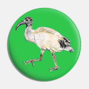 Sacred Ibis Pin