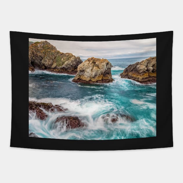 Big Sur Tapestry by jvnimages