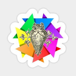 owl in rainbow Magnet