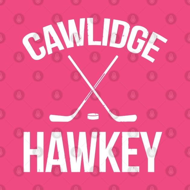 Cawlidge Hawkey Puck Stick Skating Rink by tanambos