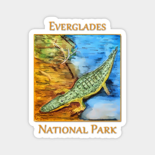 Everglades National Park, Crocodile Magnet by WelshDesigns