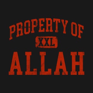 allah (distressed) T-Shirt