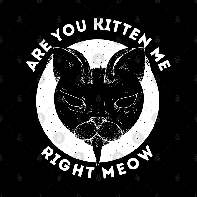 Are You Kitten Me Right Meow by silentboy