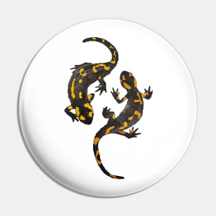 Two salamanders Pin