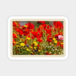 English Wild Flowers Magnet