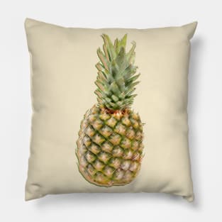 Pineapple Pillow