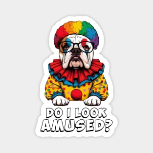 Bulldog Magnet