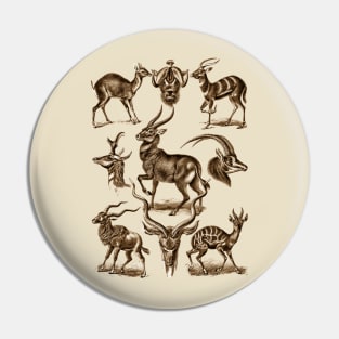 Ernst Haeckel Antilopina Antelope Pin