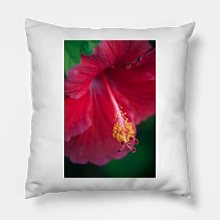 Hibiscus Pillow