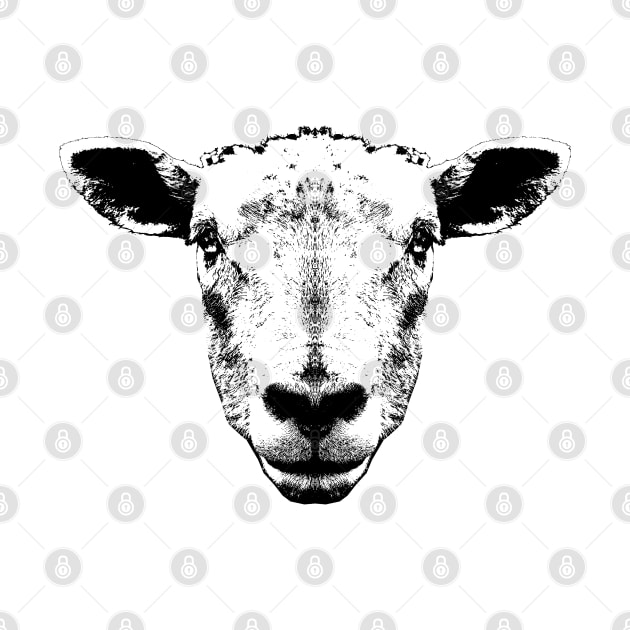 Sheep Head Portrait by R LANG GRAPHICS