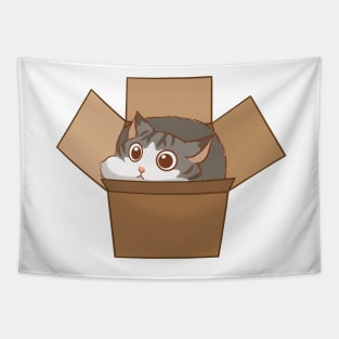 Cat in the box Tapestry