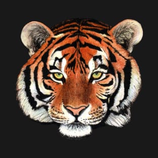 Tiger drawing T-Shirt