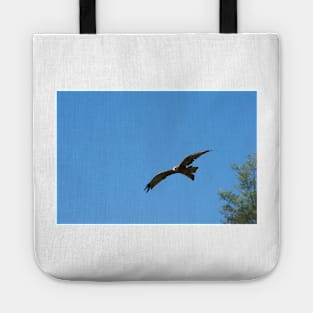 Black Kite In Flight Tote