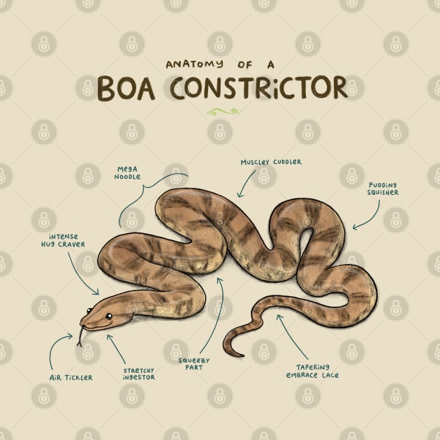 Anatomy of a Boa Constrictor by Sophie Corrigan