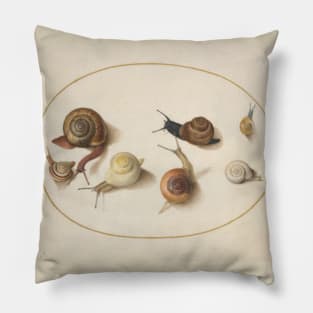 Naturalist Snails Pillow