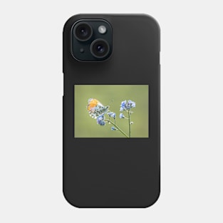 Orange Tip on Forget-me-not Phone Case