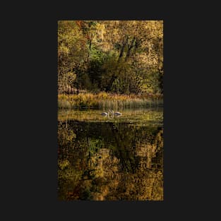 'Autumn Magic 5', Loch Dunmore, Pitlochry T-Shirt