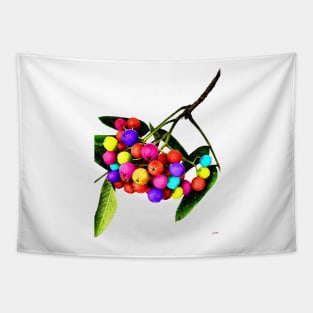 Rowan Berries Tapestry