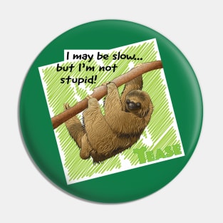 two toed Sloth Pin