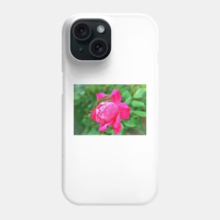 Baby Anole On Pink Rose Phone Case