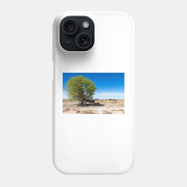 Zebras in the Shadow of the Only Tree - Etosha, Namibia Phone Case by holgermader