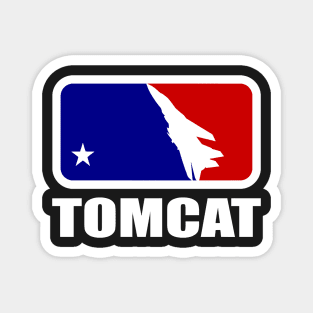 F-14 Tomcat Magnet
