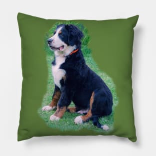 Bernese Mountain Dog Pillow