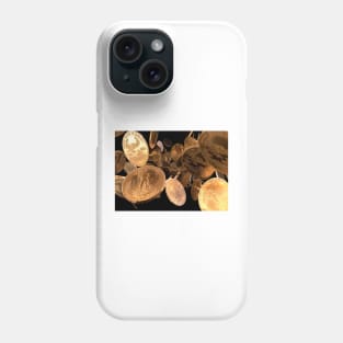 Gold coins, computer artwork (T362/0455) Phone Case