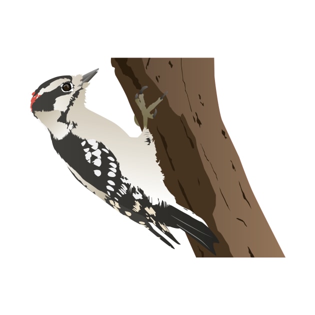 Downy Woodpecker Bird by NorseTech